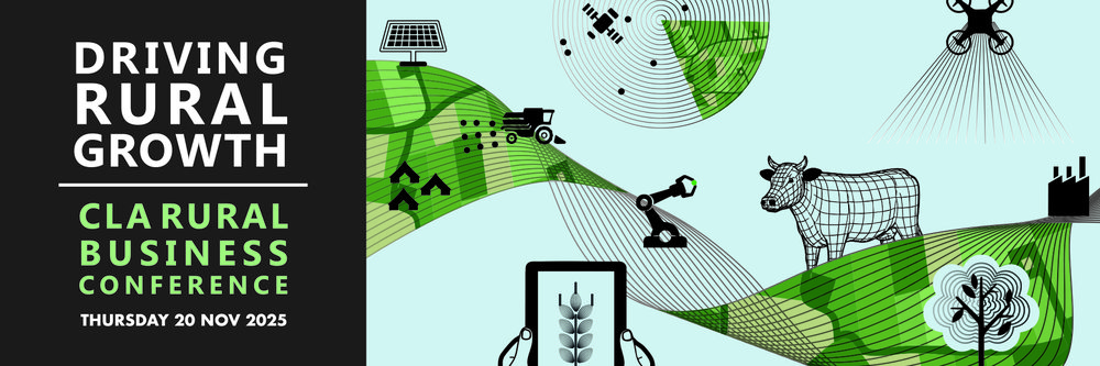 2025 RBC Horizontal Banner 4 600x250px Ratio300% 1800x750px 300dpi JPG - 050625