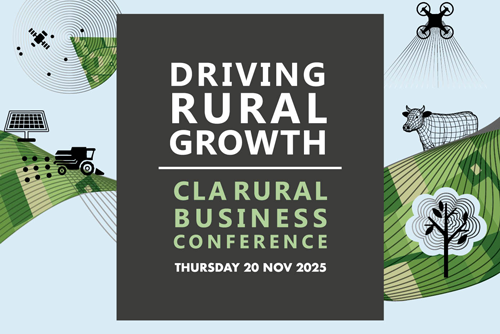 6 - 2025 RBC Home Page Graphic B 500x500px PNG - 110625 TEST