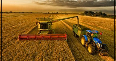 Farms Closing At Record Rate Is The Inheritance Tax To Blame - 7rqybj0