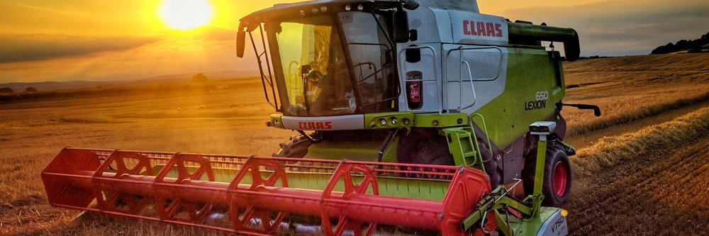 Combine harvester working the field