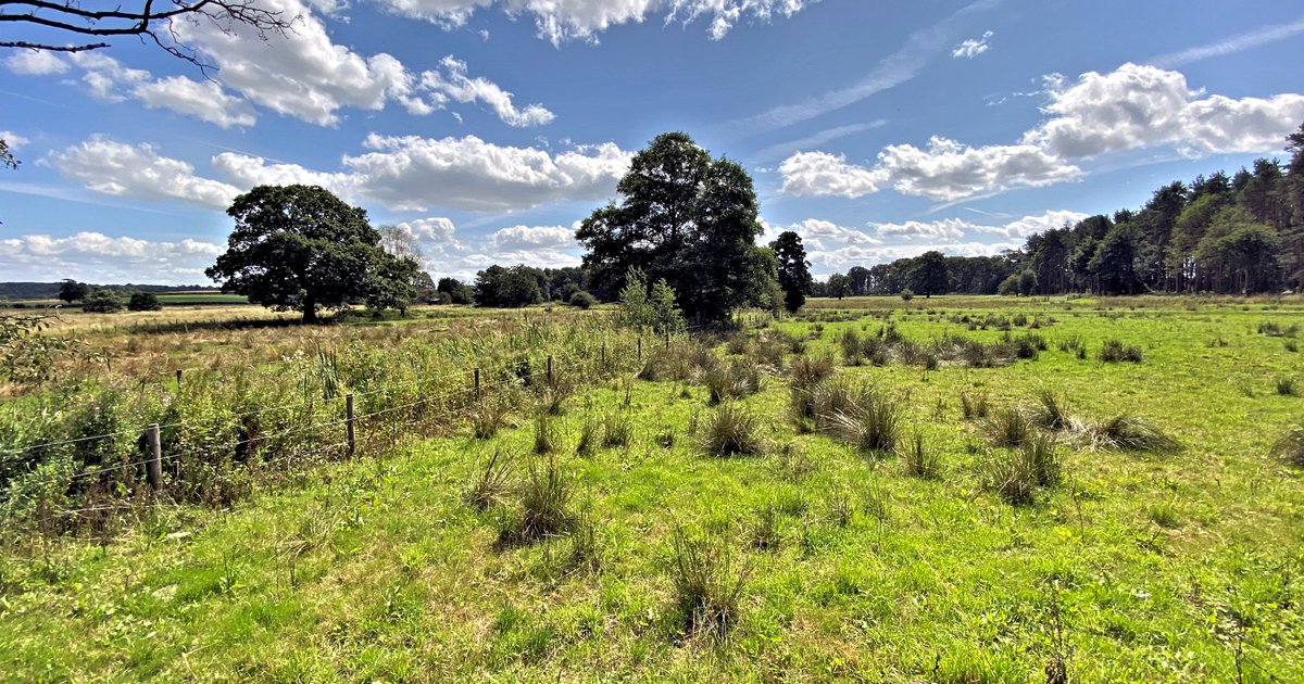 Lowland agricultural peat why is it important? • CLA