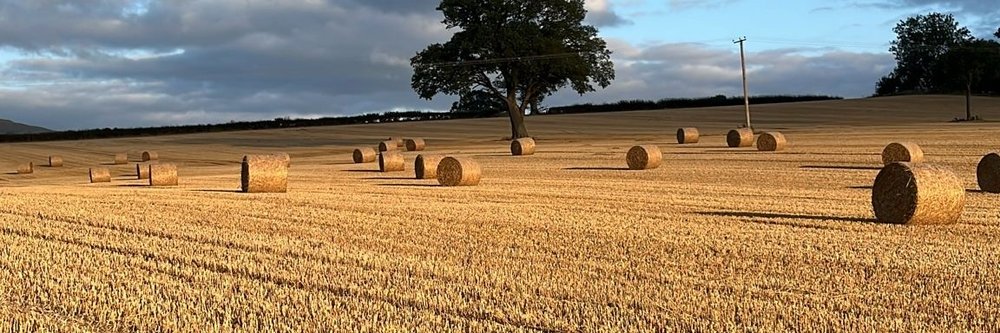 August 25 - Stafford