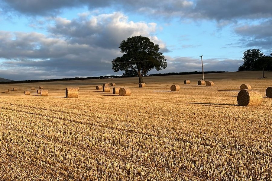 August 25 - Stafford