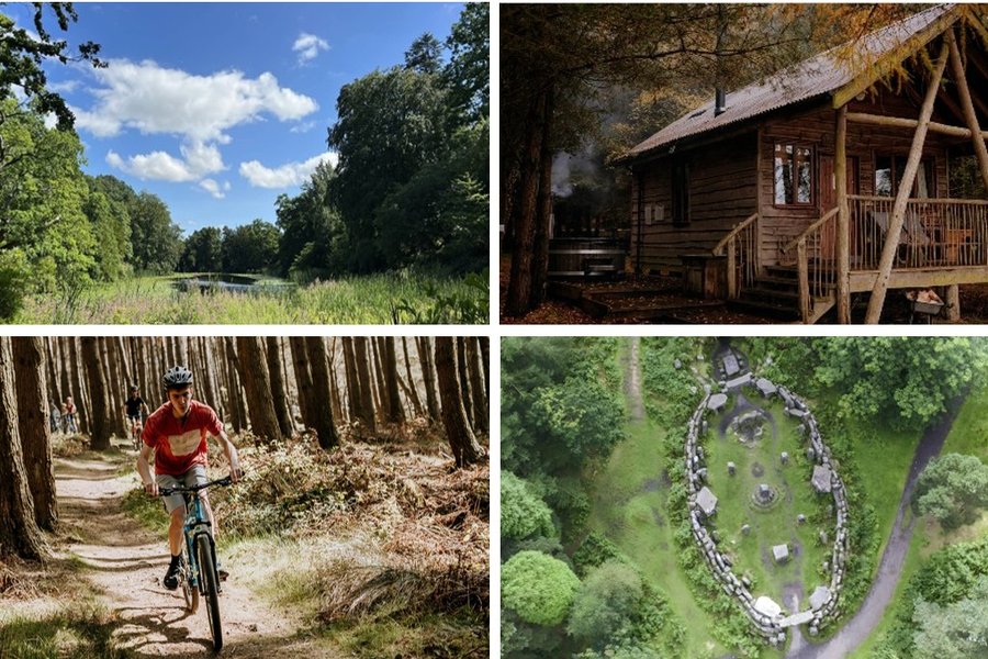 Beyond Bark Picture 6