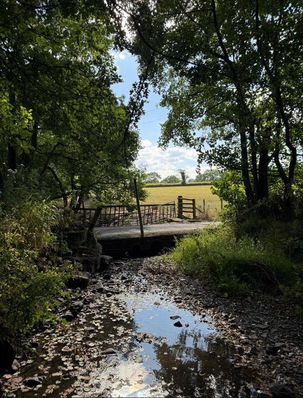 Rhayader Farm Bridge 14 August 2026