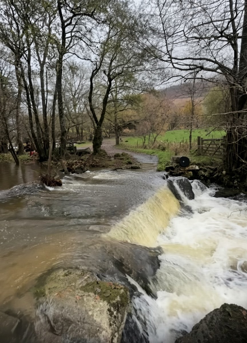 Rhayader Farm Bridge 2025