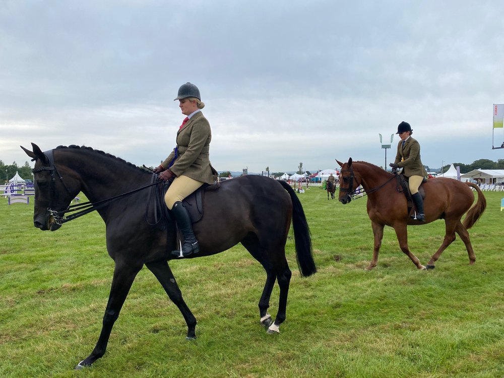 Bucks show horses