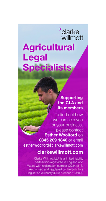 Clarke Willmott BD 2025 Sixth Page