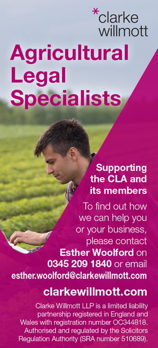 Clarke Wilmott 6th advert 2026.png