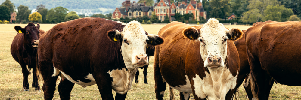 Midlands - Worcestershire AGM 2026