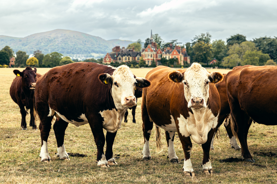 Midlands - Worcestershire AGM 2026