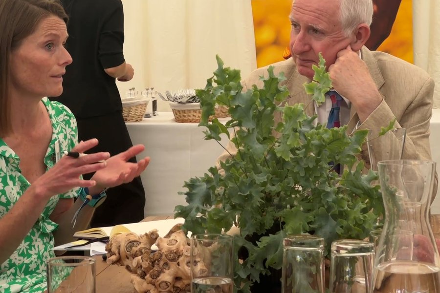DZ image - Norfolk Show