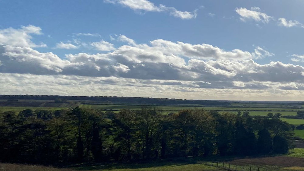 Enews banner image November.jpg