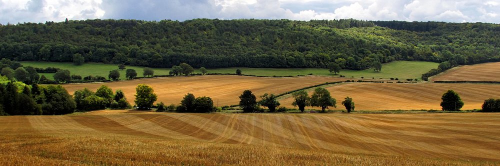 Fields in the Midlands.jpg