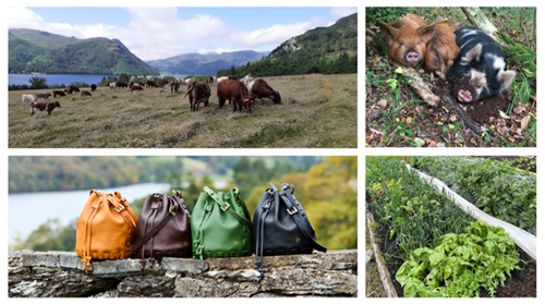 Gowbarrow - Website Picture