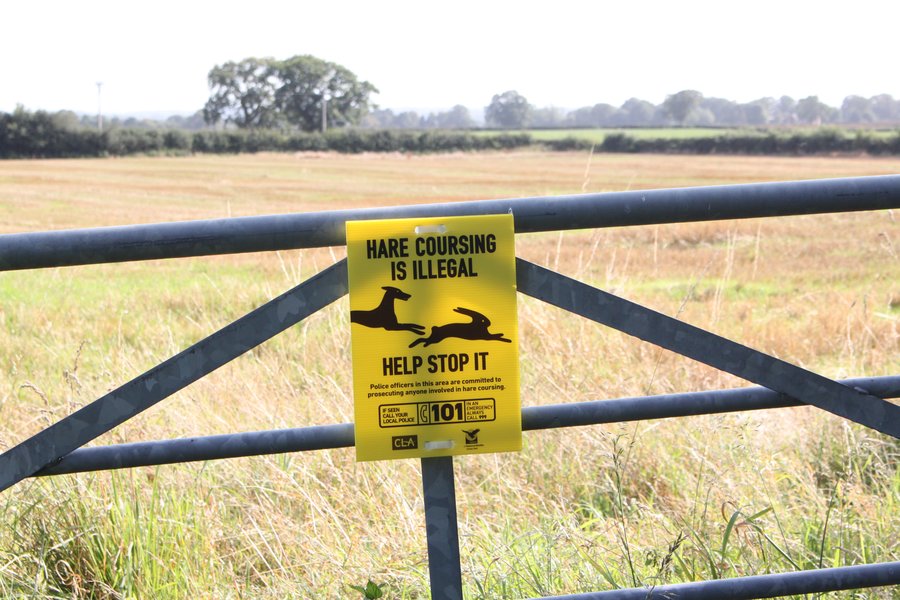 Hare Coursing sign