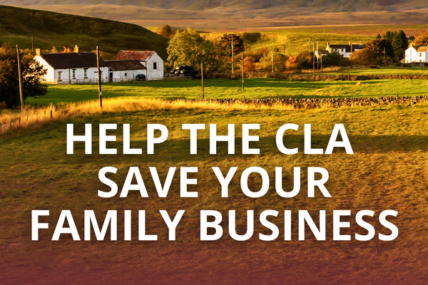 Help the CLA save your family business (Instagram Post) (1)