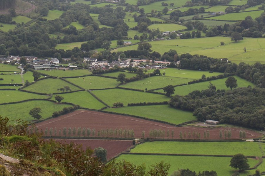 Fieldscape, Brecon Beacons