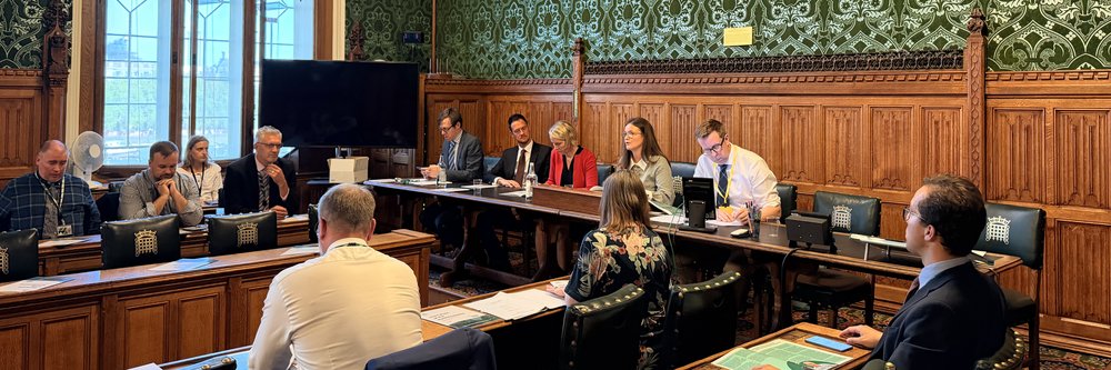 House of commons LRRG event
