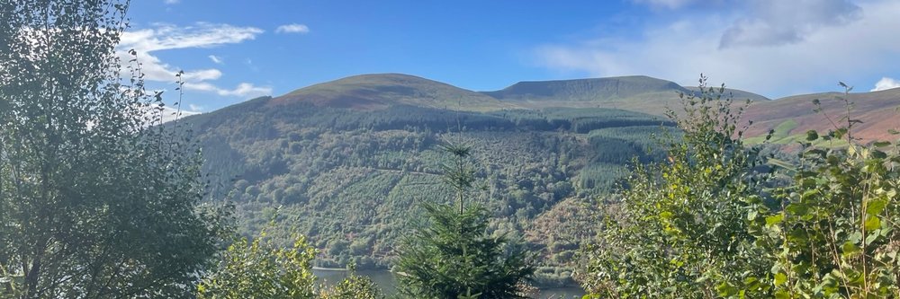 talybont