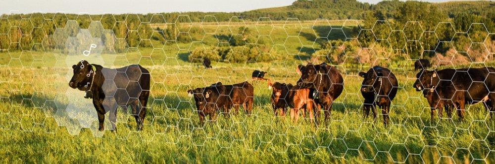 L&B - Nofence virtual fencing (1)