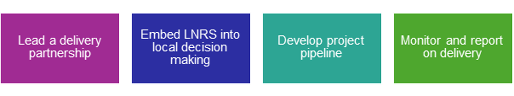 LNRS 4 steps