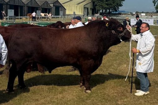 Lincs 26 image 2025 - enews