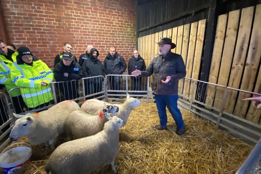 Livestock Training Day - Photo 3