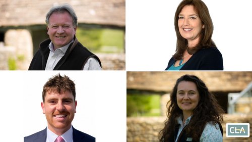 Meet the Team Cornwall Twitter