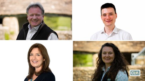 Meet the Team Devon Twitter Post