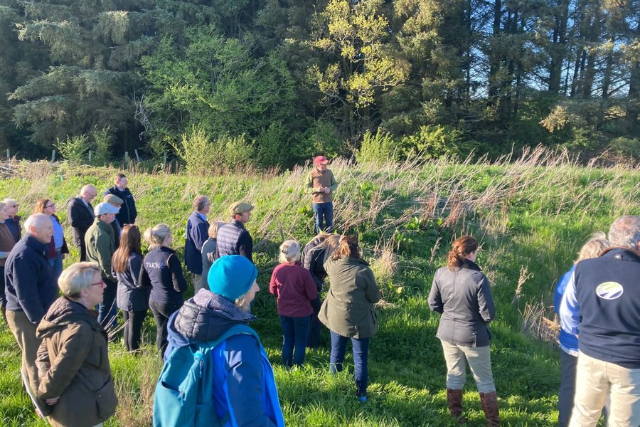 Northumberland farm walk