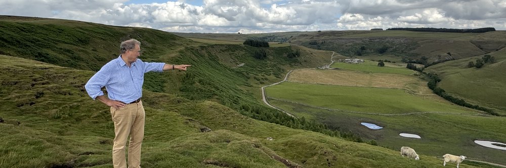 Telfit Farm - Oliver pointing