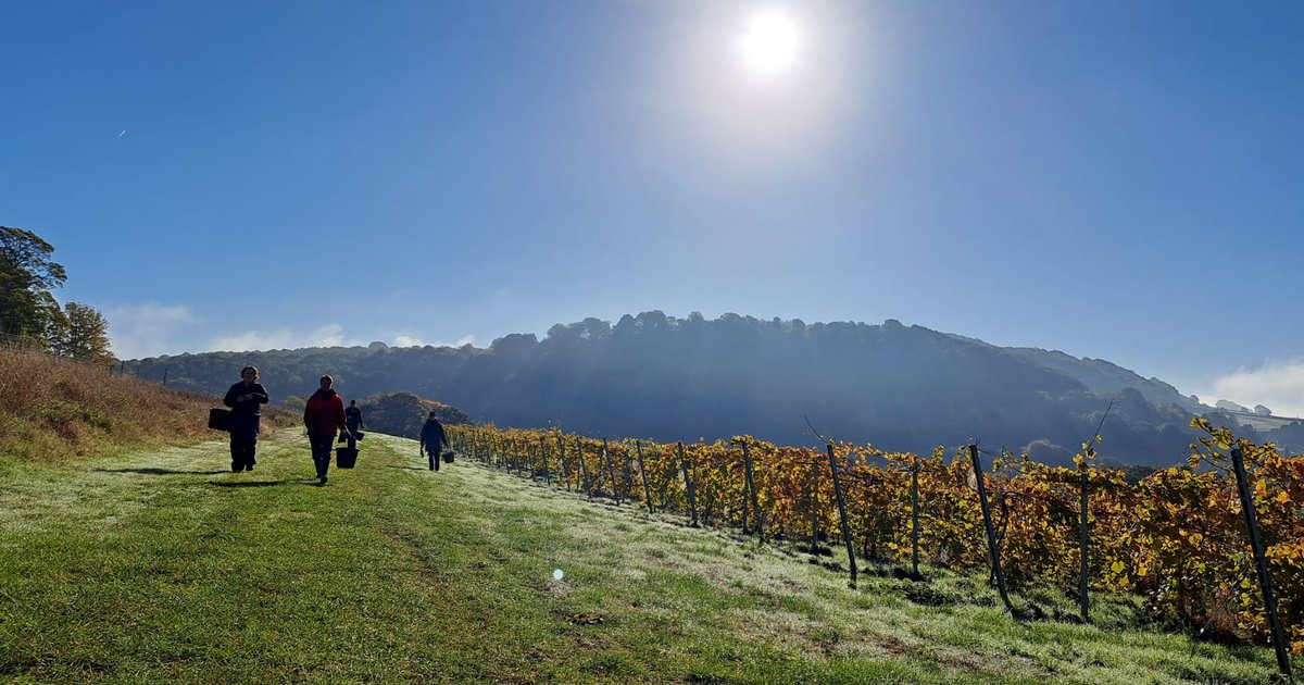 On the grapevine the challenges and opportunities of running a