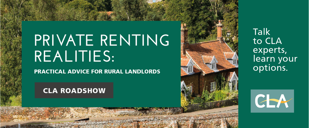 Private Renting Horizontal Banner A RIGHT 600x250px Ratio300% 1800x750px 150dpi PNG - 200826