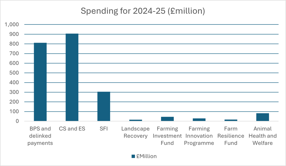 RPA spending graph