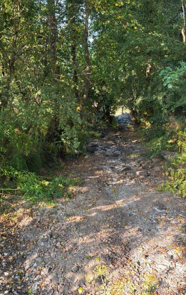 Rhayader Farm Riverbed B