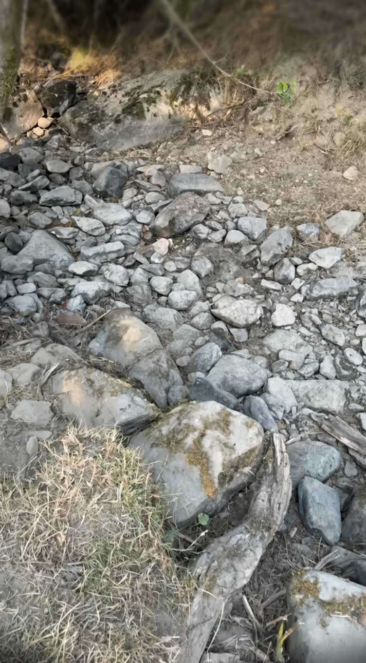 Rhayader Farm Riverbed A