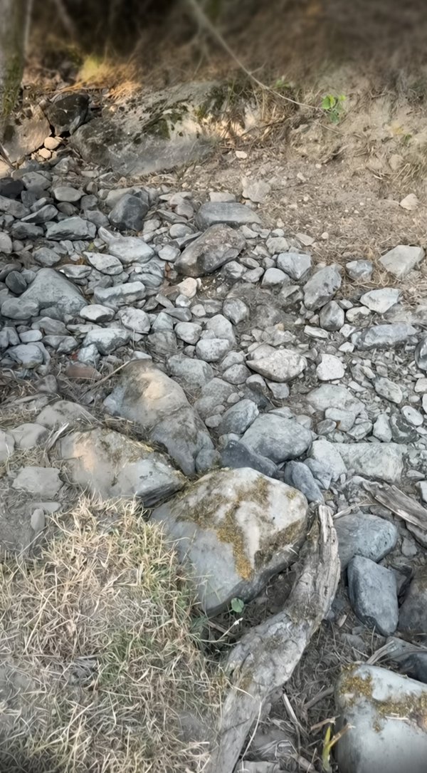 Rhayader Farm Riverbed A