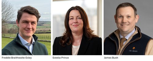 Risky Business brekkie