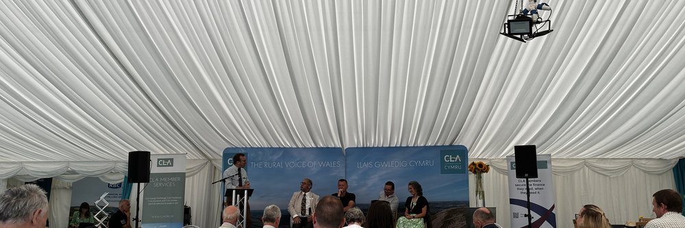 Royal Welsh Panel