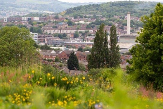 South Yorkshire LNRS - 26