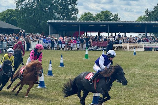 Suffolk Show horse race