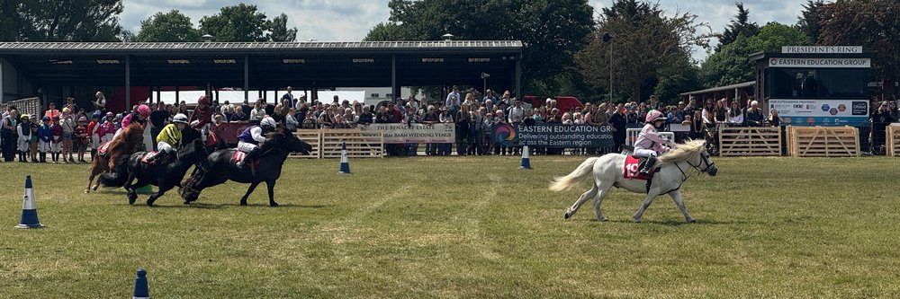 Suffolk Show horse riding