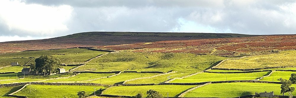 Swaledale
