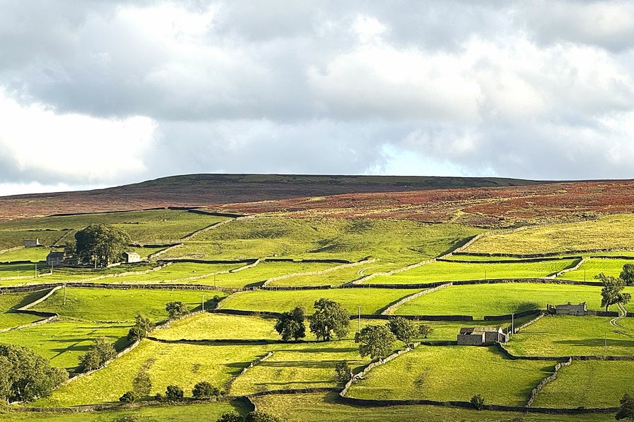 Swaledale