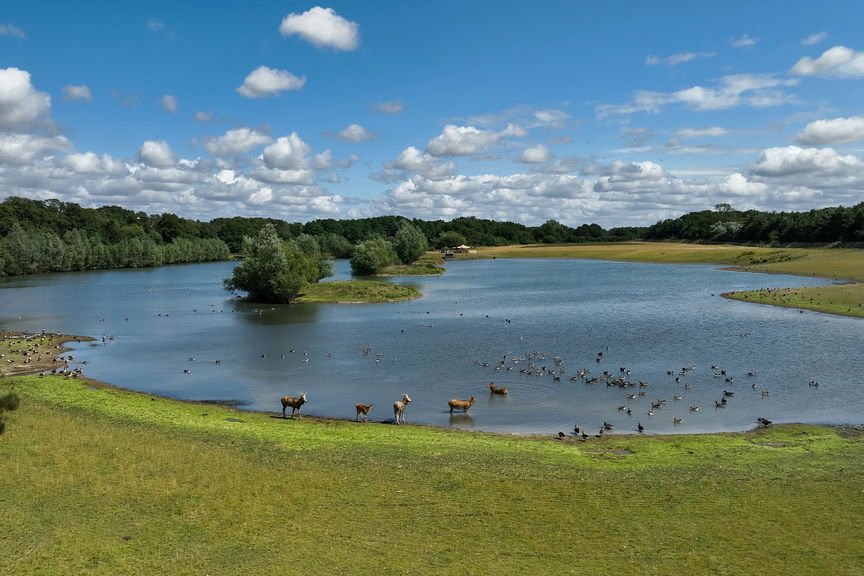 Watatunga Lake_credit_Watatunga Wildlife Reserve