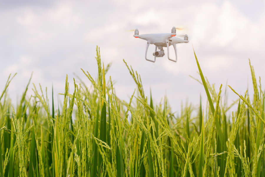 ai farming (2)