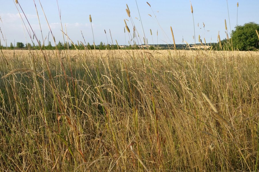 chay-kelly-zb8yjRyoMhc-unsplash