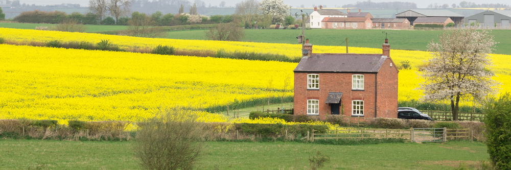 cottage