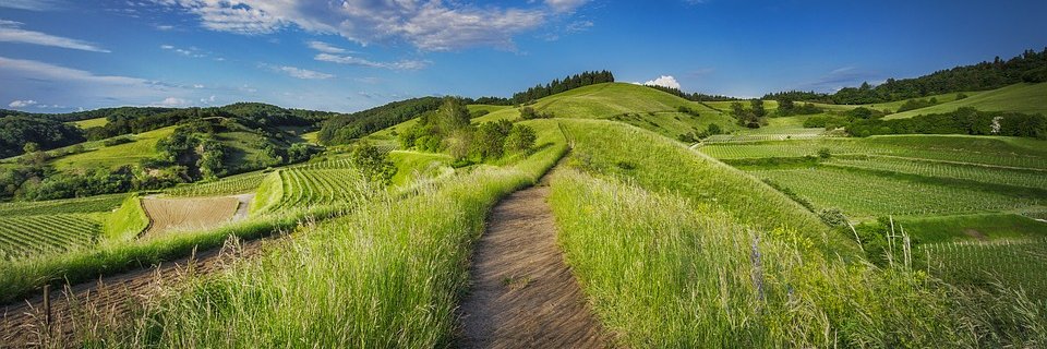 countryside.jpg